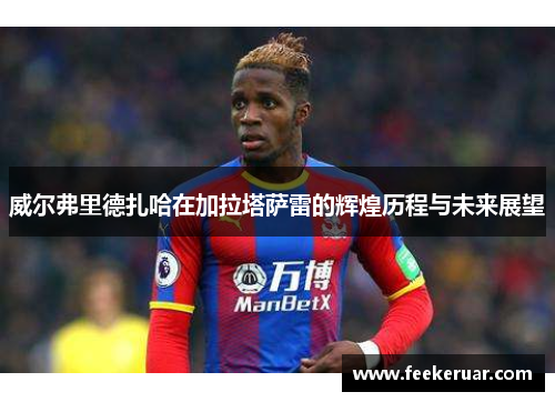 威尔弗里德扎哈在加拉塔萨雷的辉煌历程与未来展望
