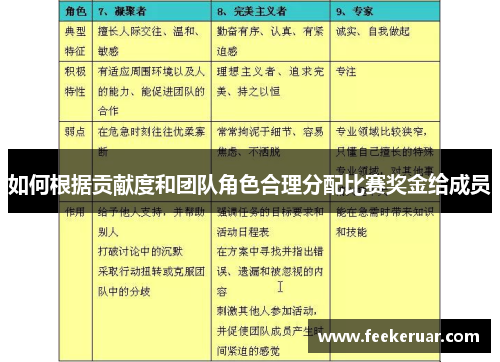 如何根据贡献度和团队角色合理分配比赛奖金给成员