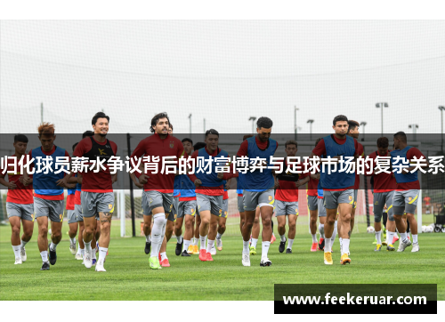 归化球员薪水争议背后的财富博弈与足球市场的复杂关系