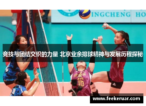 竞技与团结交织的力量 北京业余排球精神与发展历程探秘