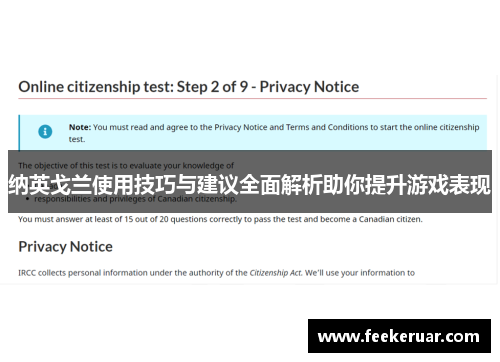 纳英戈兰使用技巧与建议全面解析助你提升游戏表现