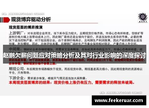 赵鹏欠薪问题应对策略分析及其对行业影响的深度探讨